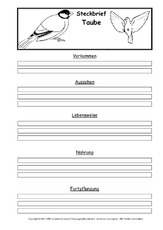 Steckbriefvorlage-Taube.pdf
